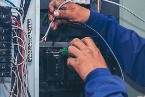 Best Ceiling Fan Installation Electrician  in Twentynine Palms, CA
